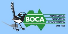 BOCA