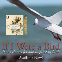 If I were a bird
