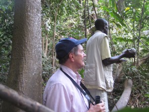 West Africa