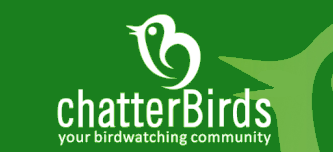 Chatterbirds